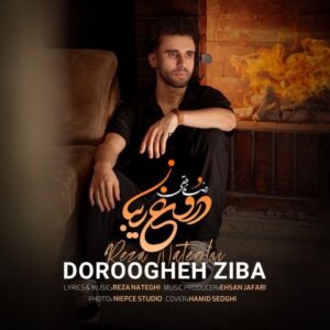 رضا ناطقی