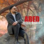 دانلود آهنگ عابد مثل بارون