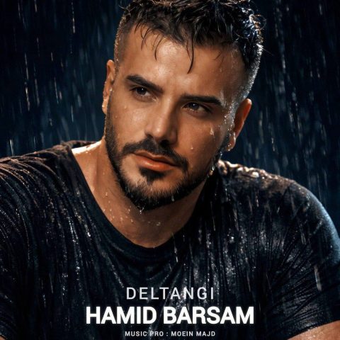 دانلود آهنگ حمید برسام دلتنگی