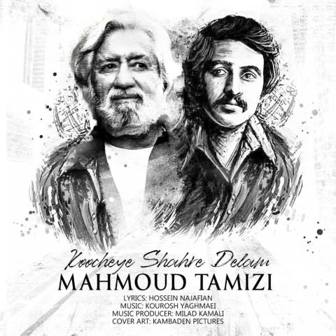 دانلود آهنگ محمود تمیزی کوچه شهر دلم