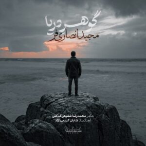 مجید انصاری فر