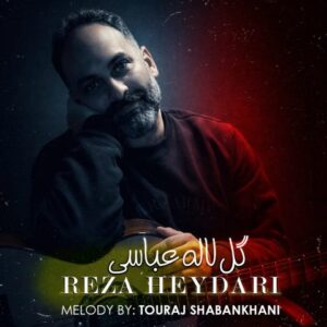 رضا حیدری