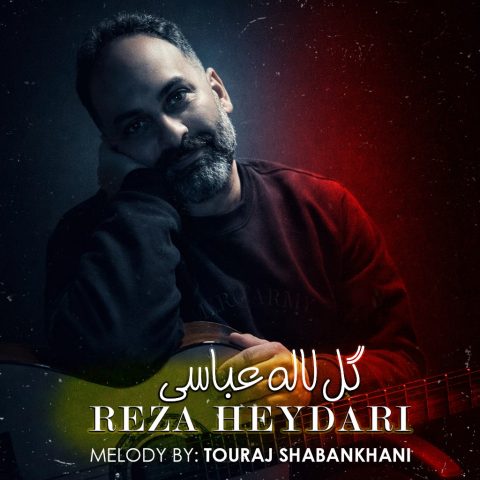 دانلود آهنگ رضا حیدری گل لاله عباسی