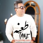 دانلود آهنگ رضا شمس نگاری طعنه - 