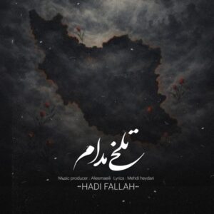 هادی فلاح