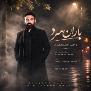 وحید جان محمدی
