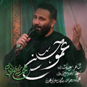 محمد حسین حدادیان