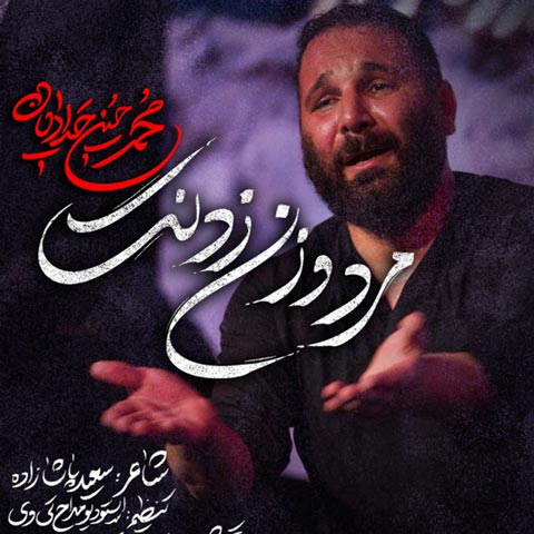 دانلود مداحی محمد حسین حدادیان مرد و زن زدنت