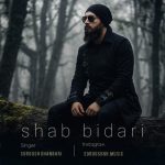 دانلود آهنگ سروش قنبری شب بیداری