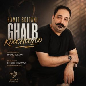 حمید سلطانی
