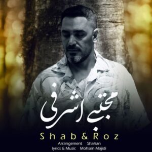 مجتبی اشرفی