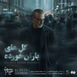 دانلود آهنگ علیرضا قربانی گل های باران خوردهعلیرضا قربانی - گل های باران خورده