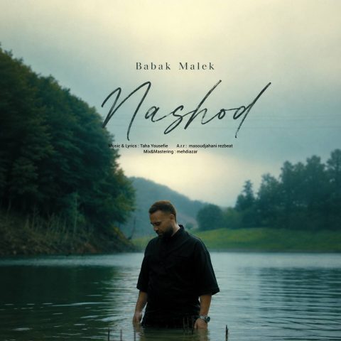 دانلود آهنگ بابک ملک نشد