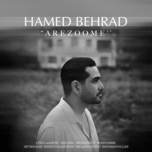 حامد بهراد