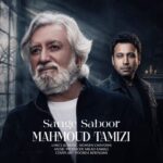 دانلود آهنگ محمود تمیزی سنگ صبور - 