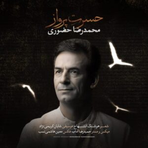 محمدرضا حضورى