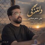 دانلود آهنگ علی شاهرحمانی دلتنگی