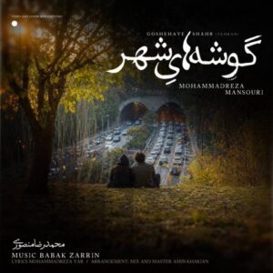 محمدرضا منصوری